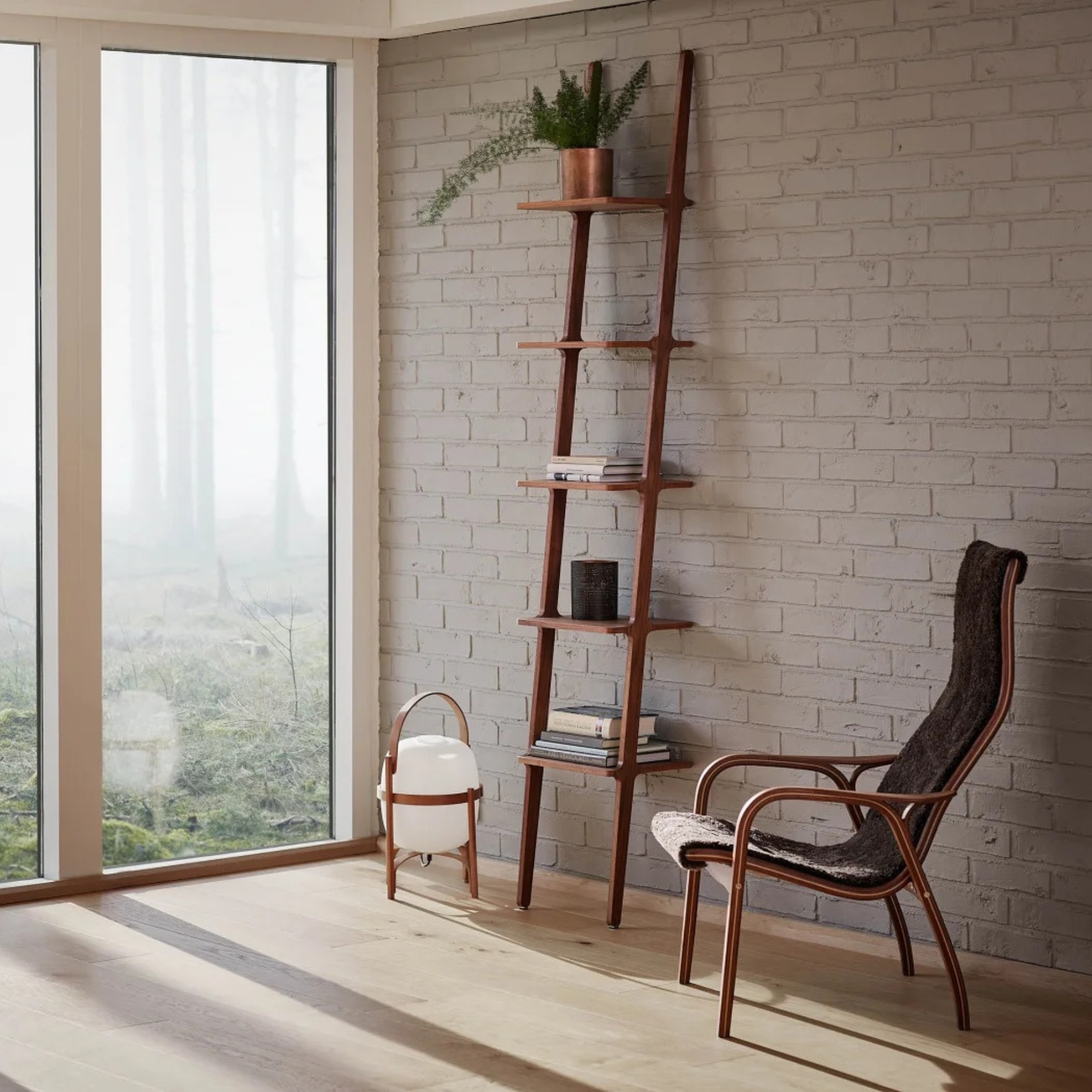 Libri 5 Shelves